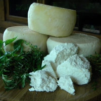 Traditional local cheeses from the local sheep farm: soft ricotta, brynza and fresh sheep milk cheese