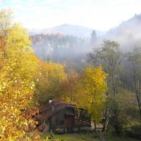 Misty Pikuj, October morning