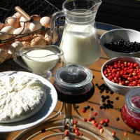 Wild berries, home-made jams and dairy products for your breakfast!